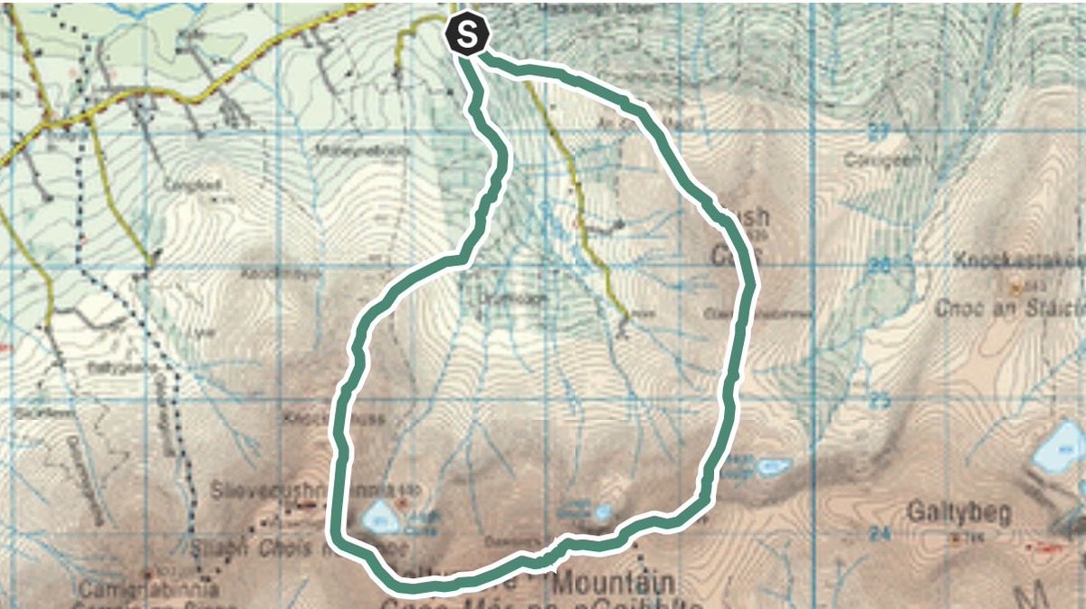 Gerard Sheehy tweet media