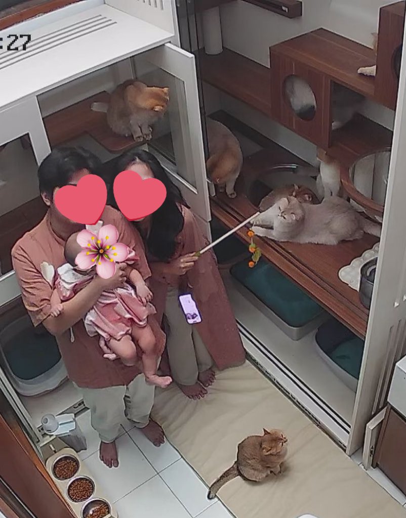 Nastar & Kara tweet media