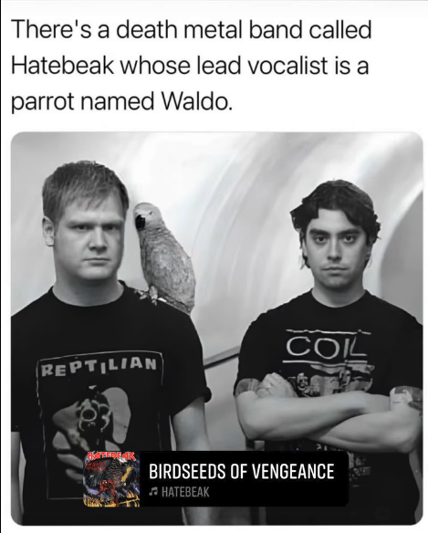 Papa Woof und Krampus und Bleaken tweet media