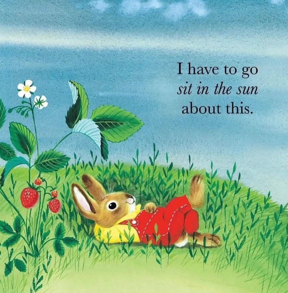 Morris-Jenkins tweet media