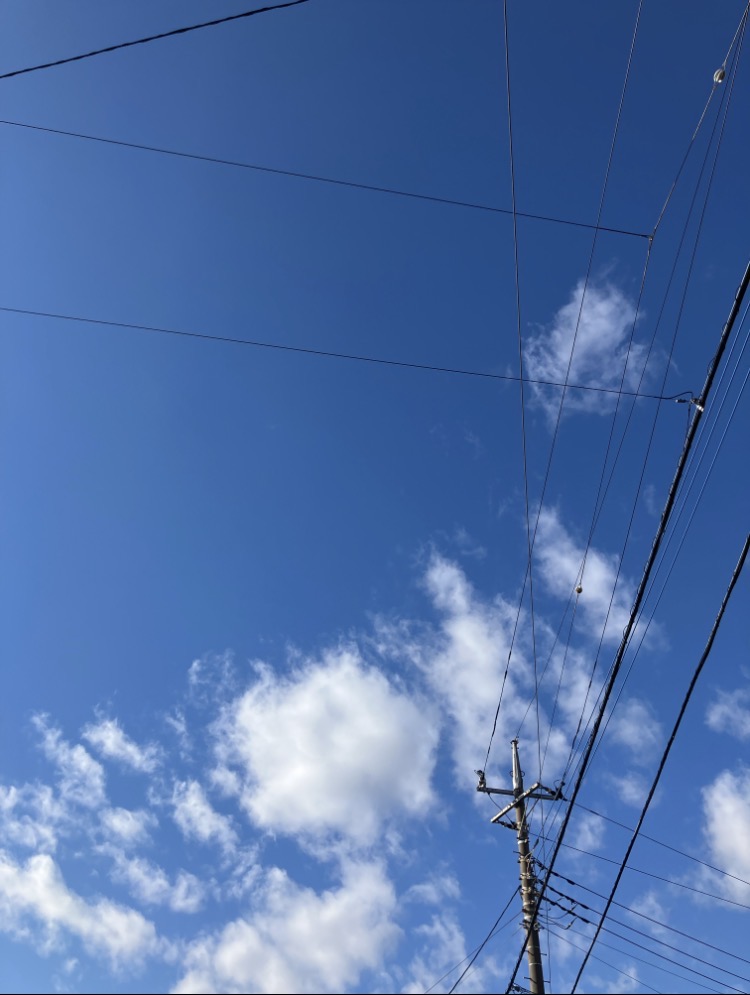 ▼んにゃも・やーもと(仮)▼ tweet media