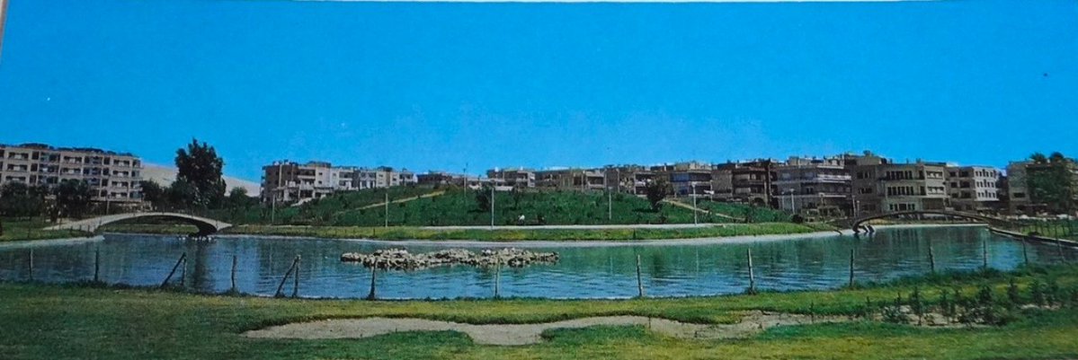 jaret alaassi tweet media