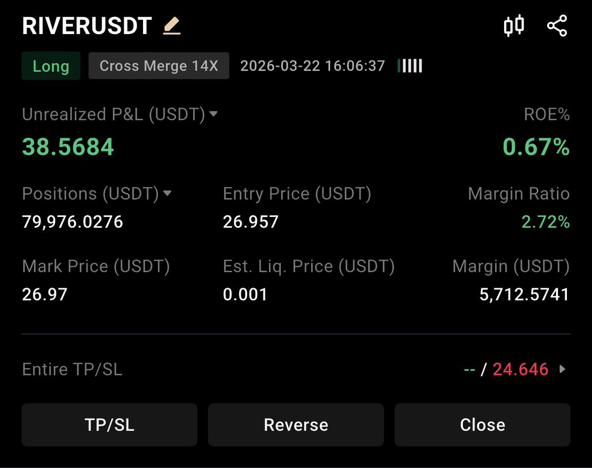 Owl Prints tweet media
