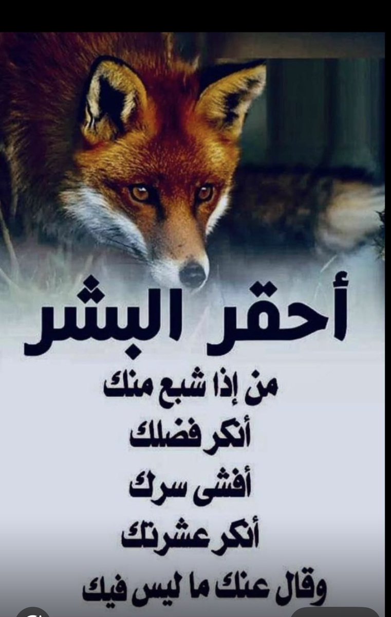 د. عبدالحميد عباس دشتي tweet media