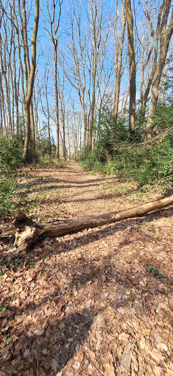 Clem Parker 🚀 tweet media