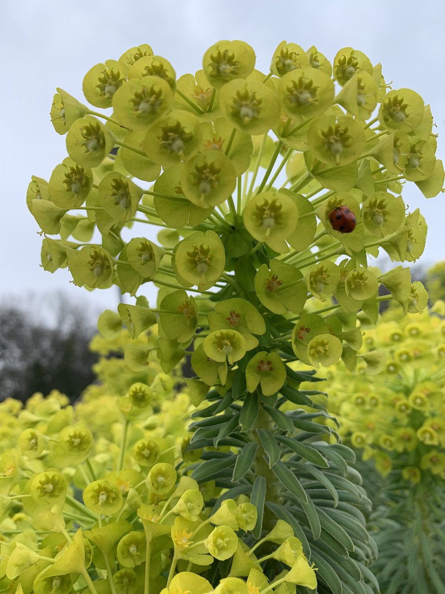 jackie harrison tweet media