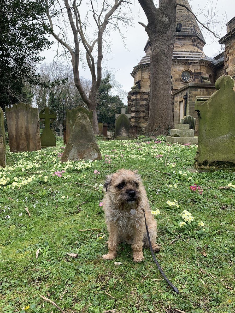 jackie harrison tweet media