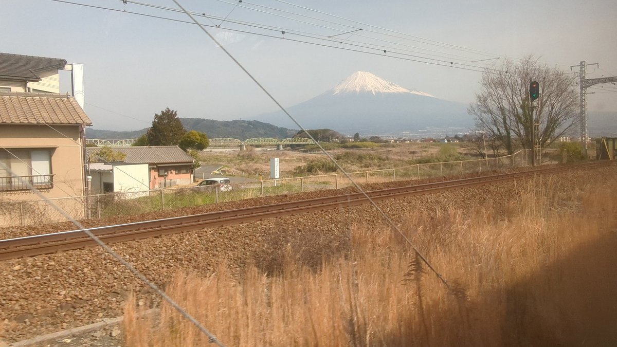 gents Arum/あるむ tweet media