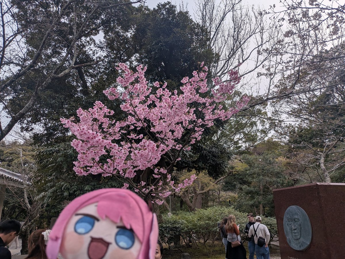 イーサンアルトス tweet media