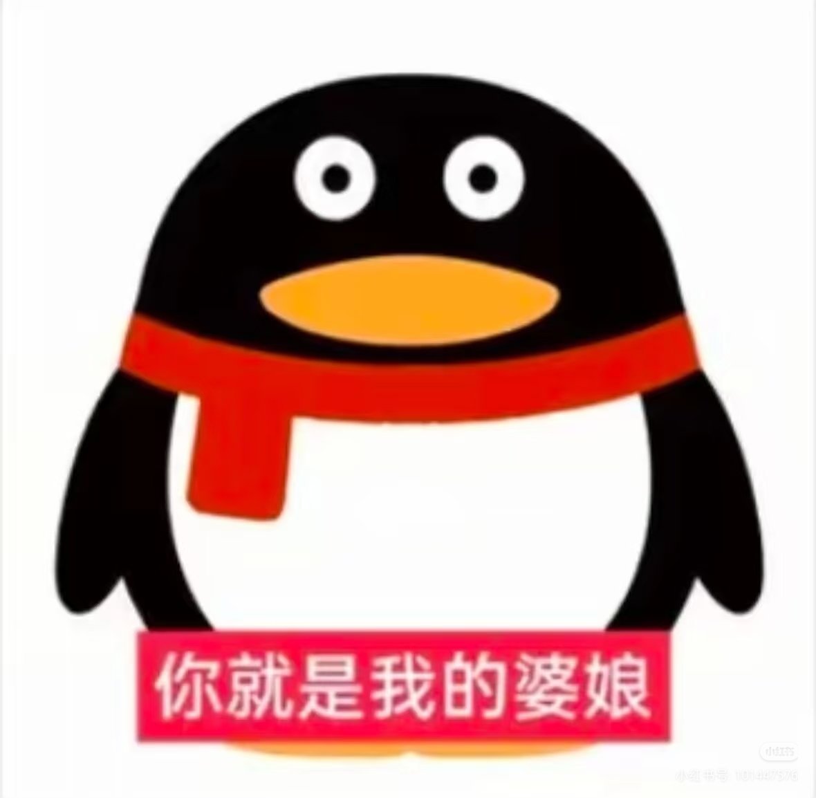 糯尔🔜正太only tweet media