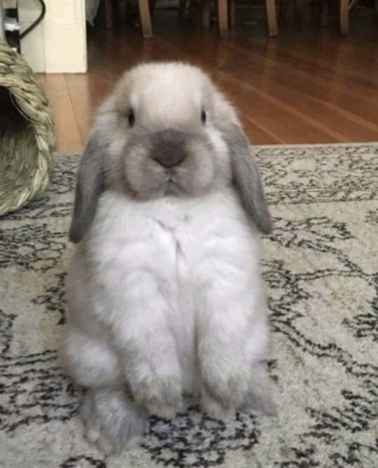 marie-ève tweet media