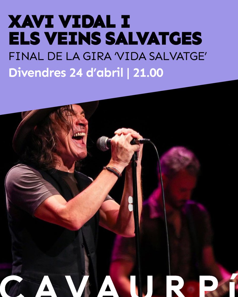 Cavaurpi tweet media