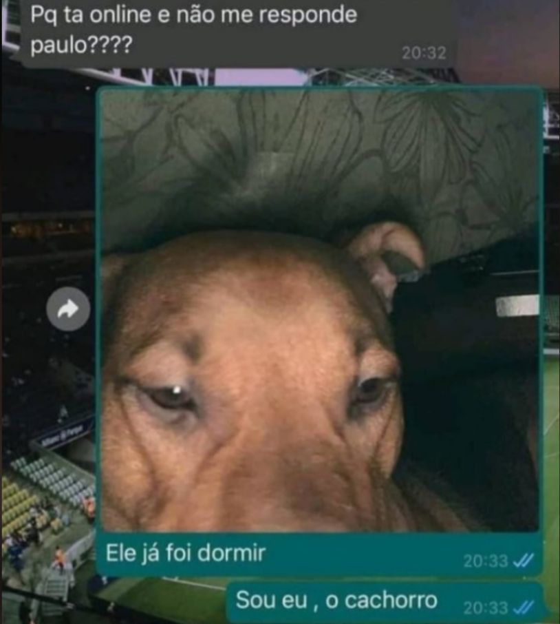 Van Grog tweet media