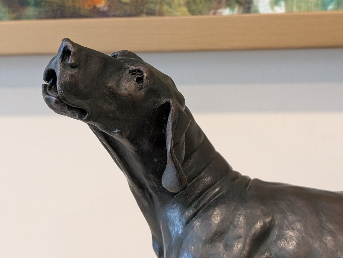 Intrepid Pup tweet media