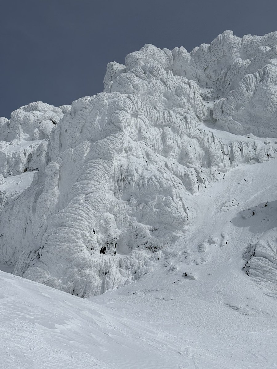 もも@山と猫と酒 tweet media