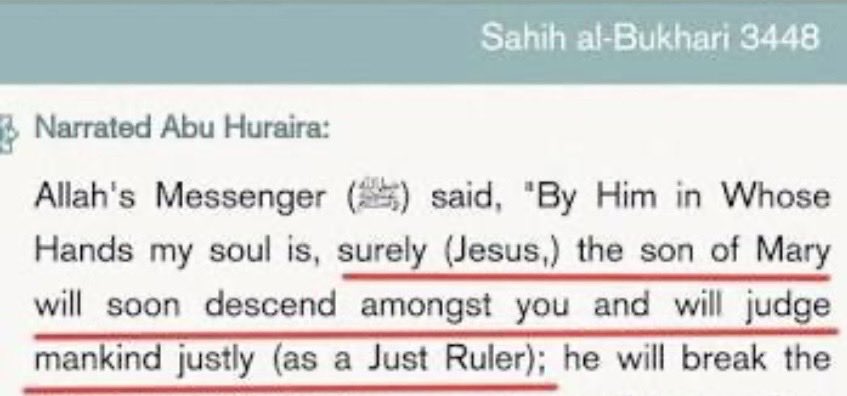 YourBrother tweet media