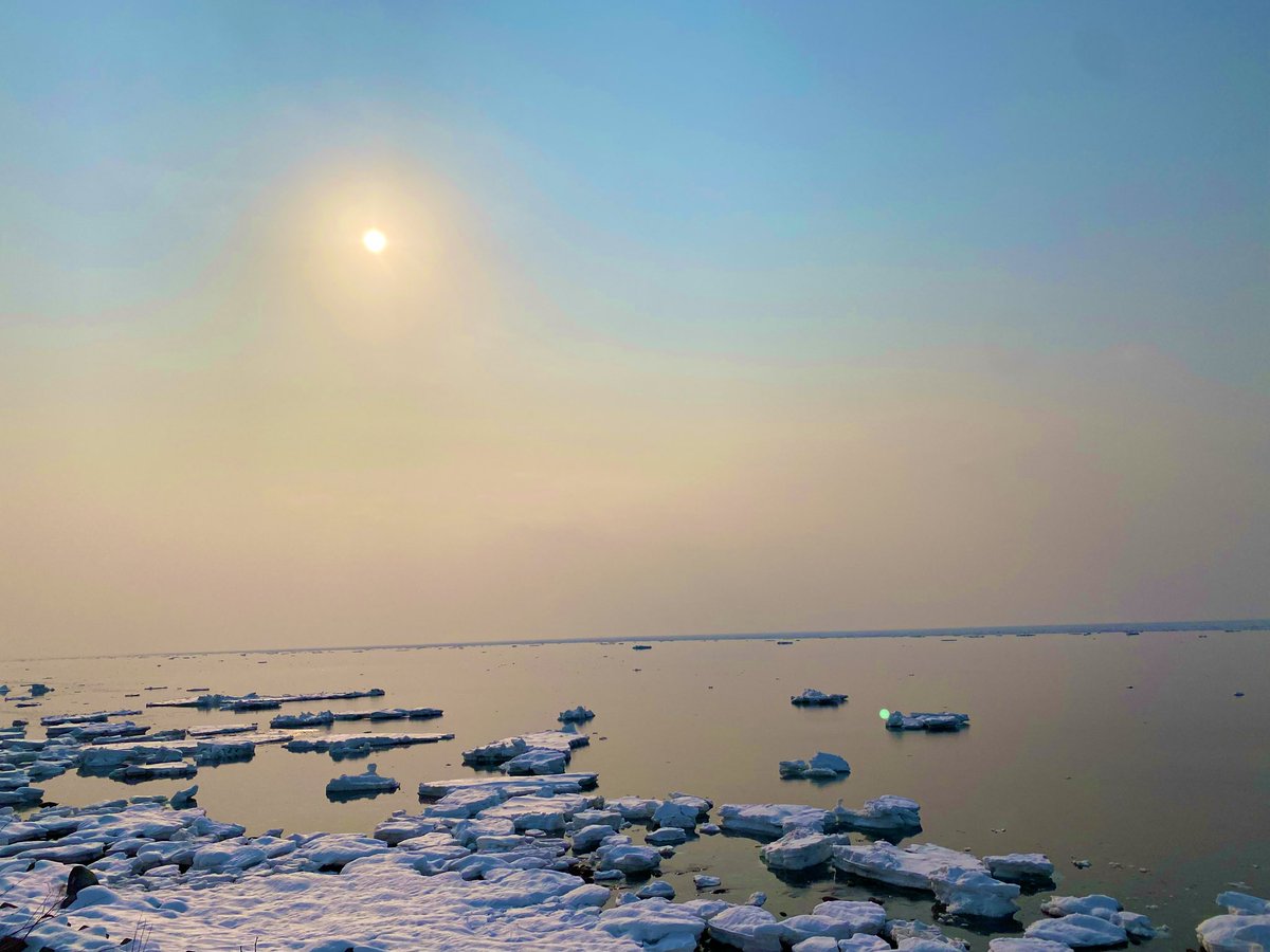 ハピチルタイムズ🐻🐤夫婦チャンネル準備中 tweet media