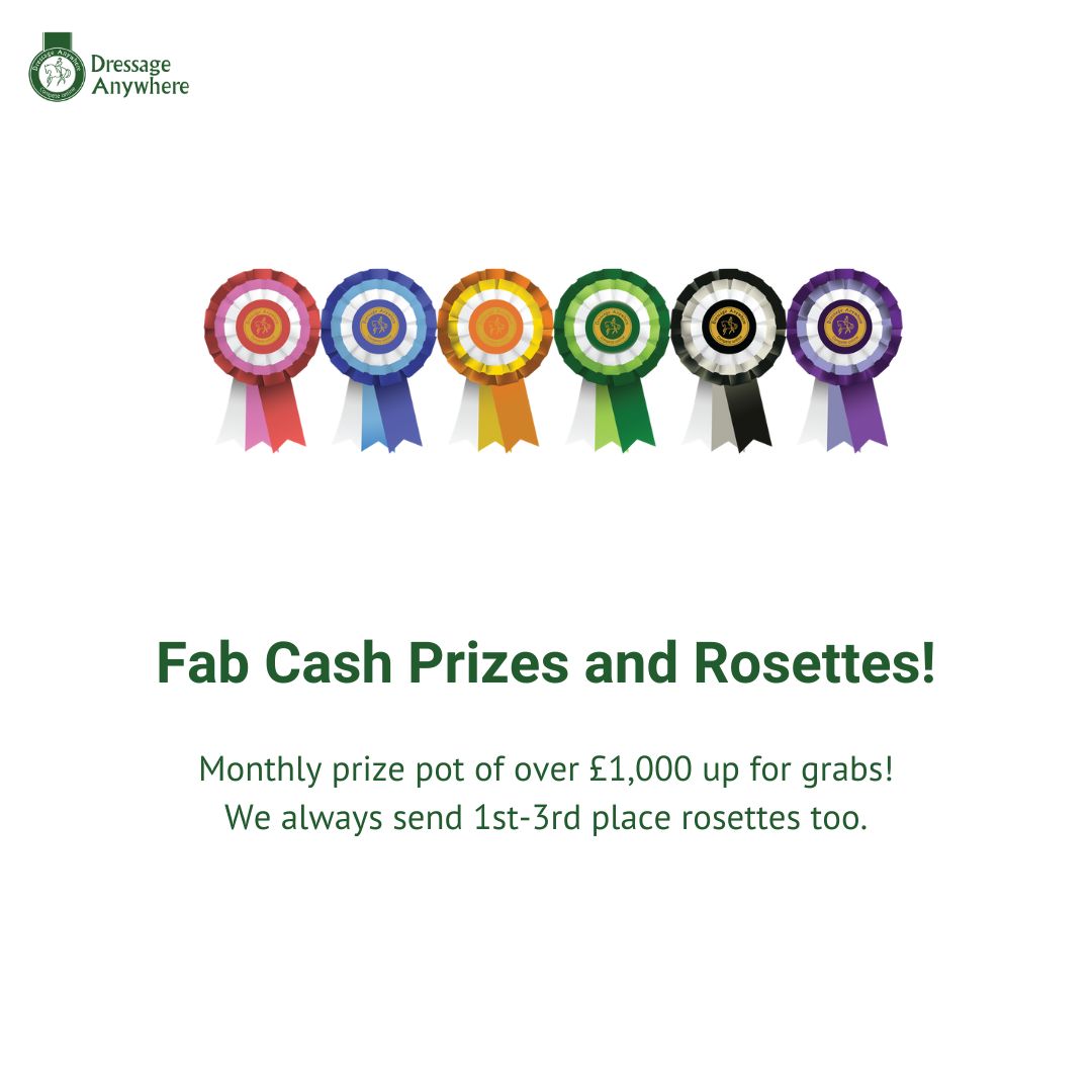 Dressage Anywhere tweet media
