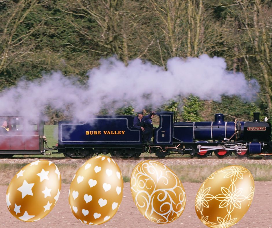 All Things Norfolk tweet media