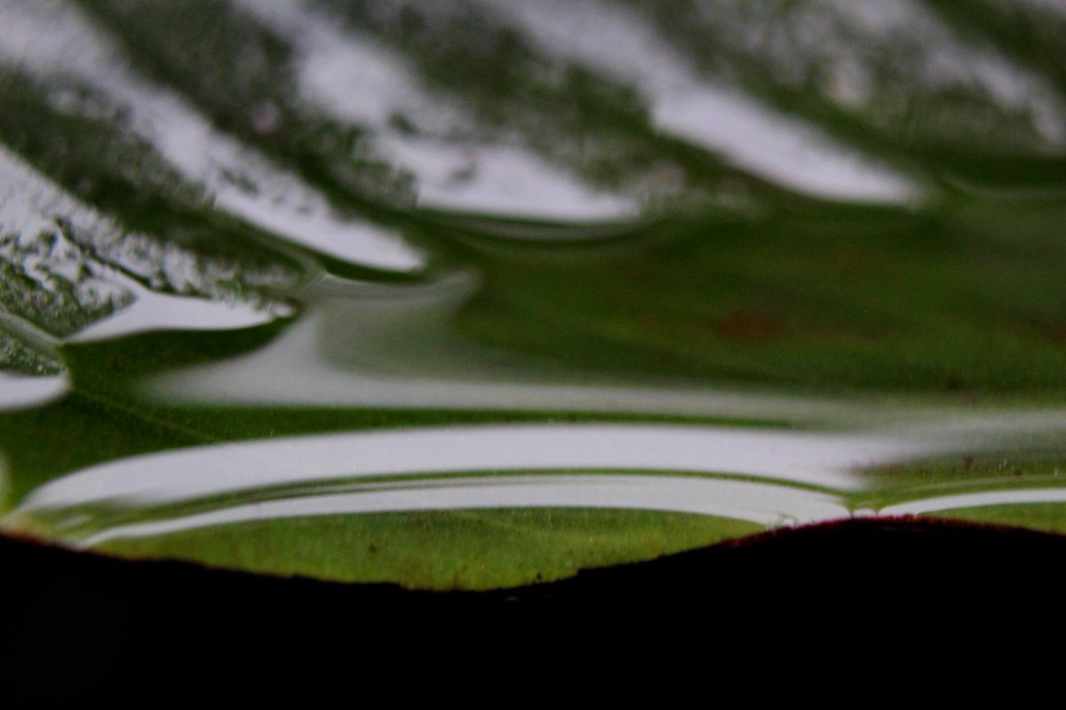 Instituto Clemente Estable tweet media