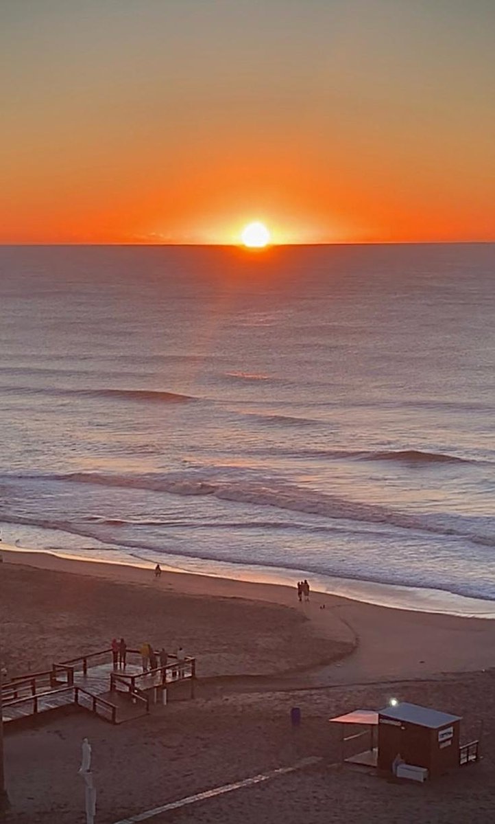 El Fundador tweet media