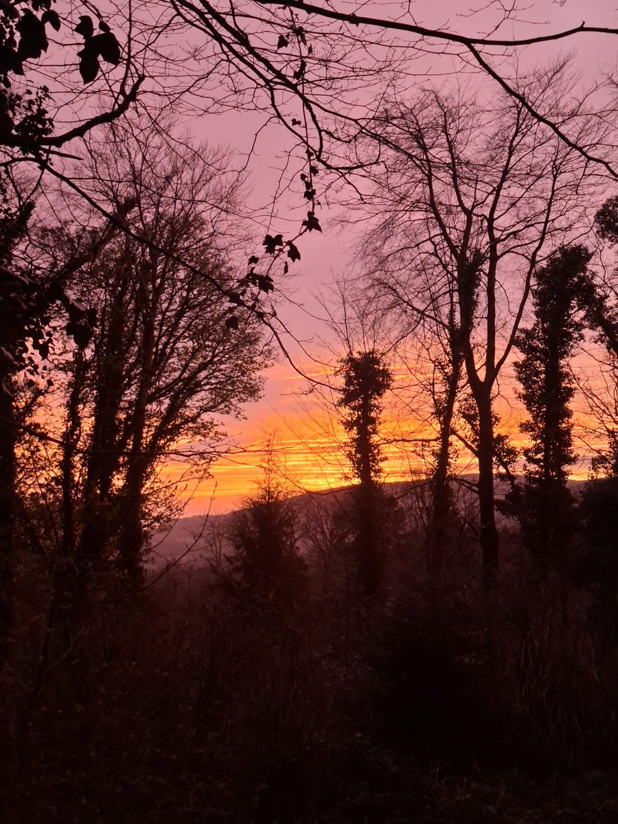 SavetheHellfire tweet media