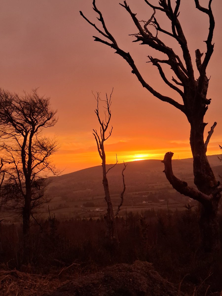 SavetheHellfire tweet media