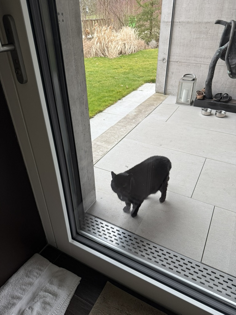 Travels for Dinner tweet media