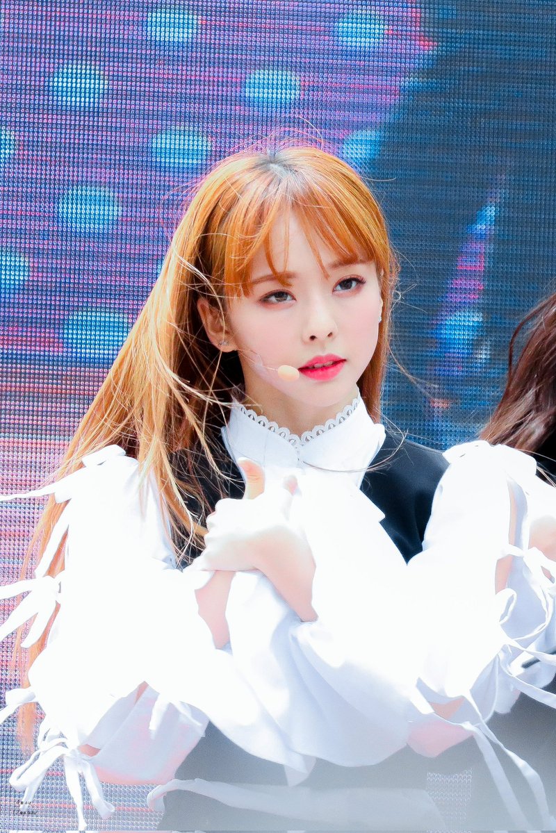 vivi folder tweet media