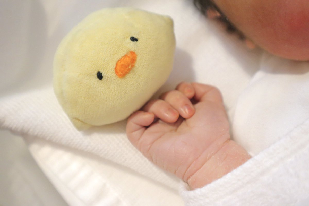 ののやまあき tweet media