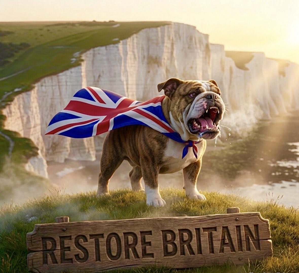 Anon🇬🇧Restore Britain🇬🇧 tweet media