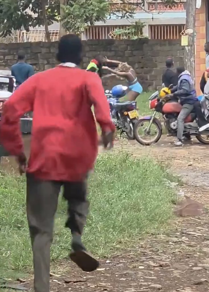 @Satoshi coder tweet media