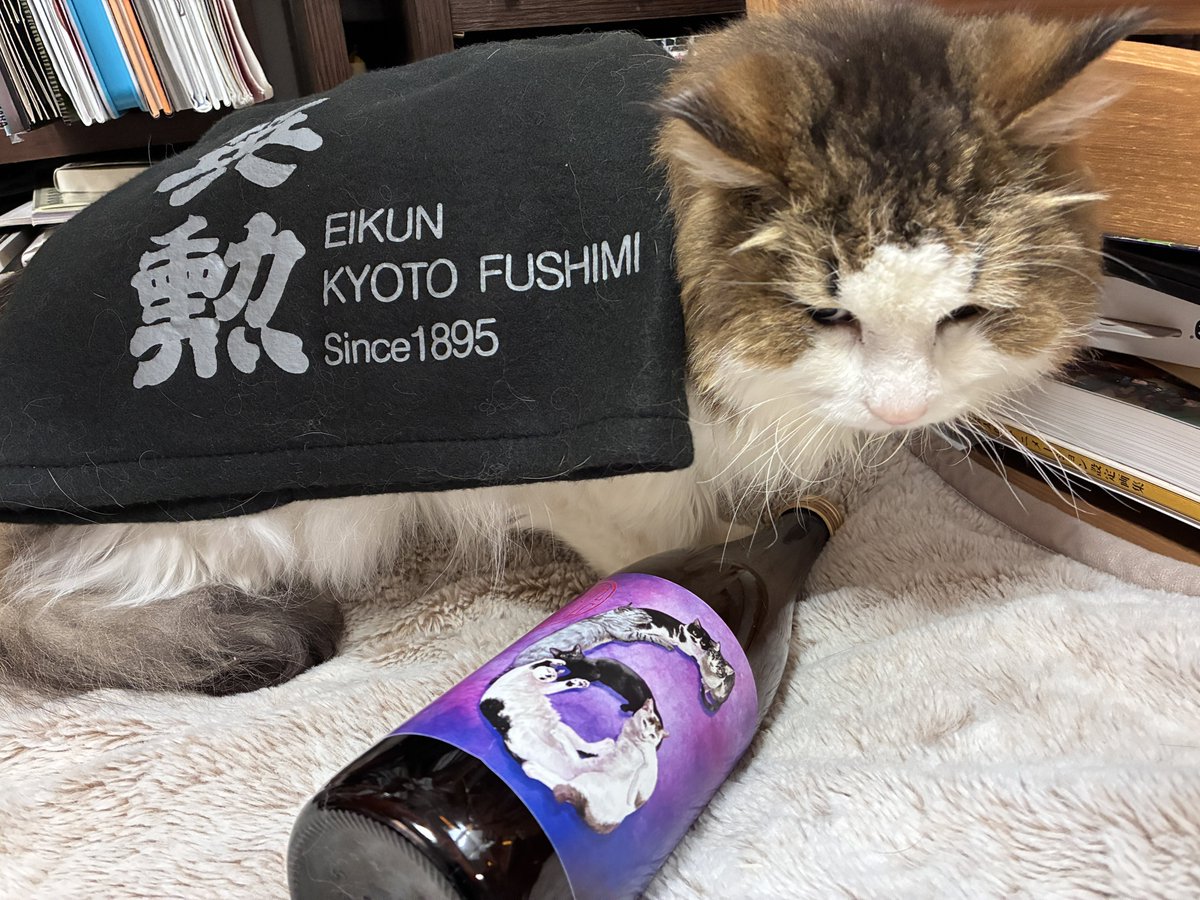 鈴木将之/すずまさ@HITOMAKU tweet media