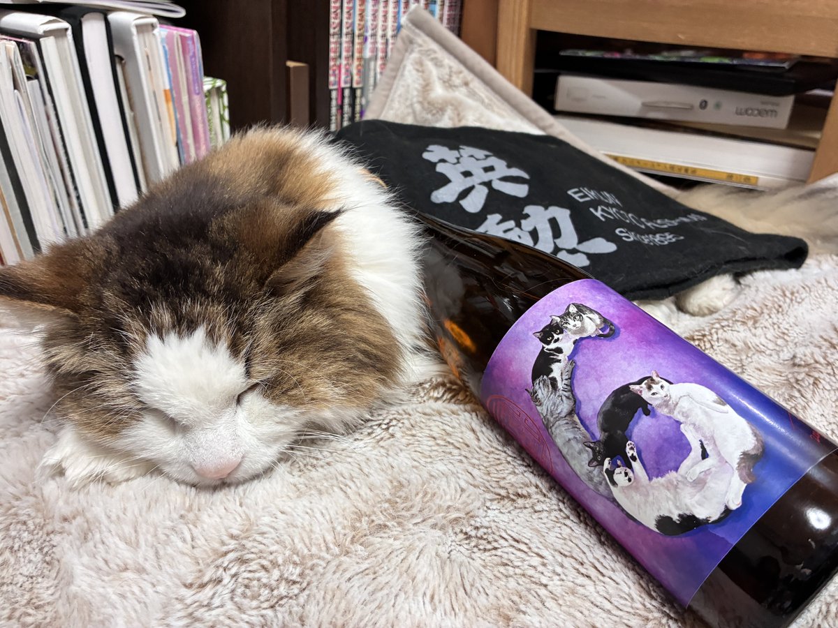 鈴木将之/すずまさ@HITOMAKU tweet media