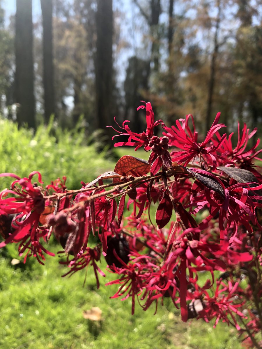 Marioladca tweet media