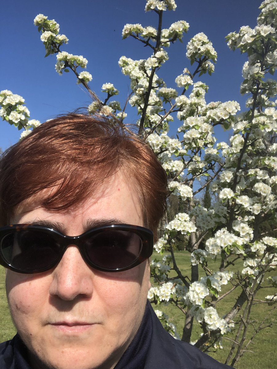 Marioladca tweet media