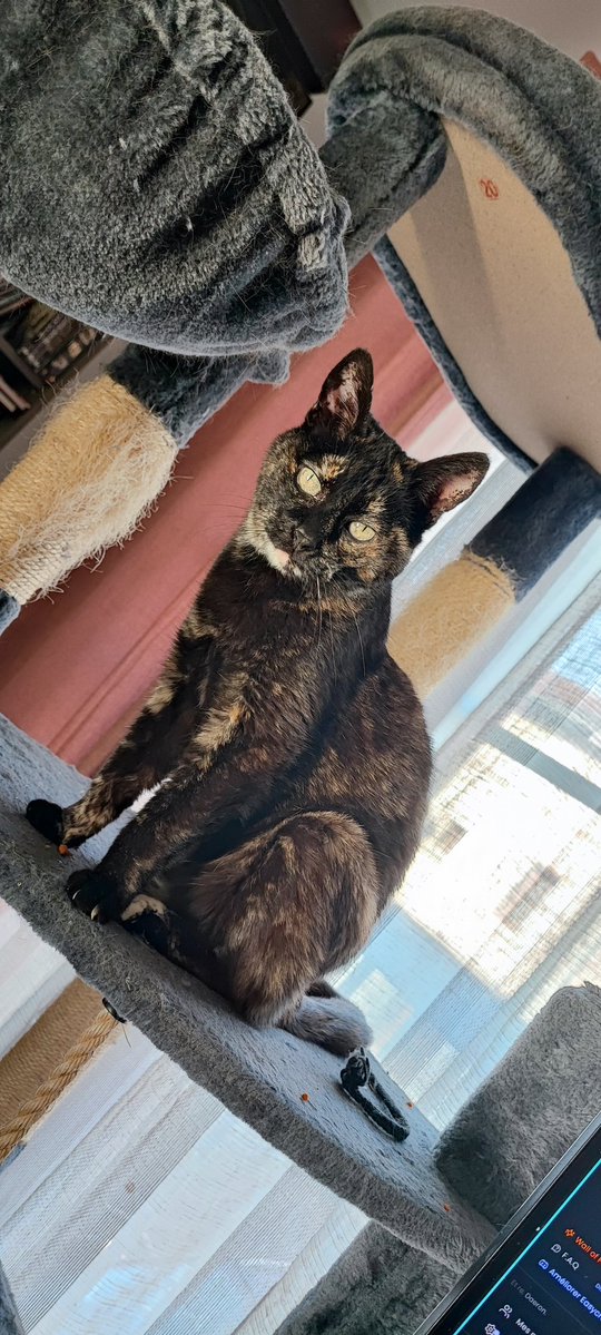 Gurgnison tweet media