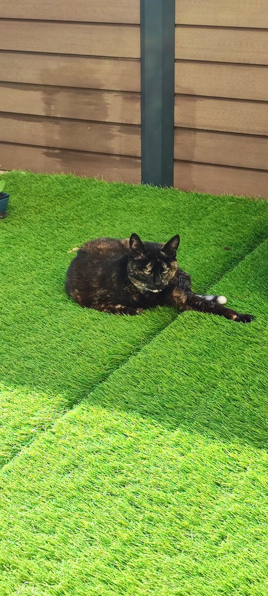 Gurgnison tweet media