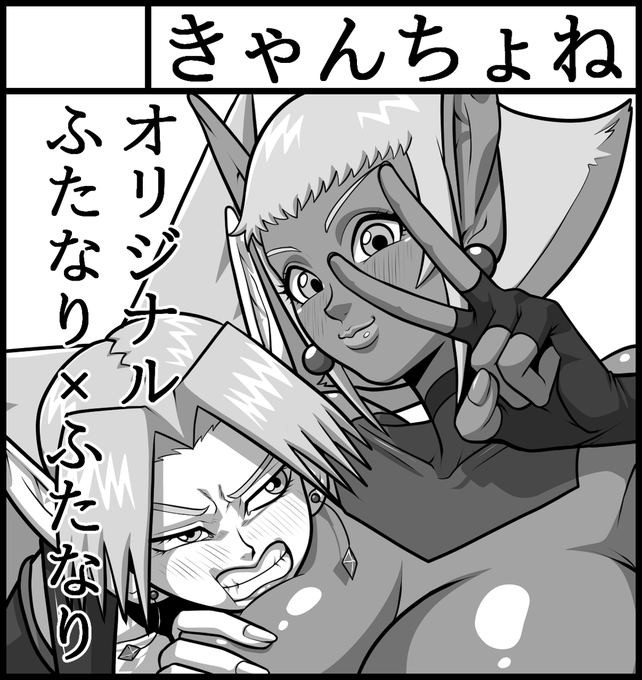 ふたけっと36(5月3日)に申し込みました 