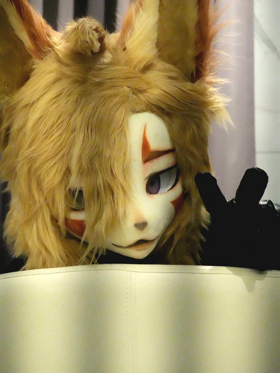 실라코 🔜 퍼클 tweet media