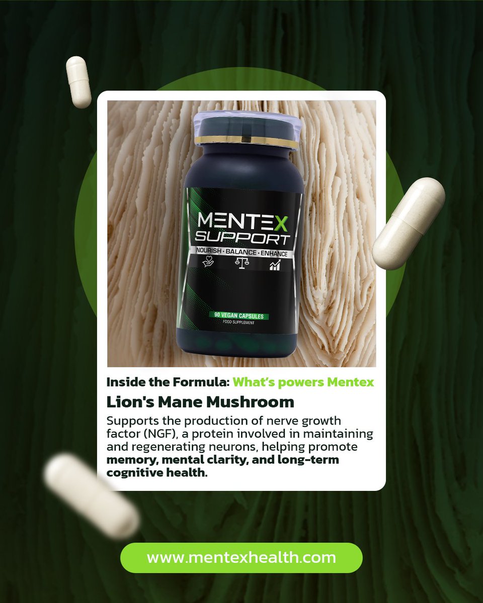 MentexHealth's tweet photo. 🧠 Inside the Formula: Lion’s Mane Mushroom

Lion’s Mane is included in Mentex for its role in supporting neuronal integrity and cognitive structure.

As part of a broader system, it contributes to maintaining mental performance over time, not just in the moment. 🌿

Discover what powers Mentex. DM us or visit https://t.co/ai5Mrhw8YU. ✨

#mentexhealth #lionsmane #cognitivesupport #brainperformance #nootropicformula