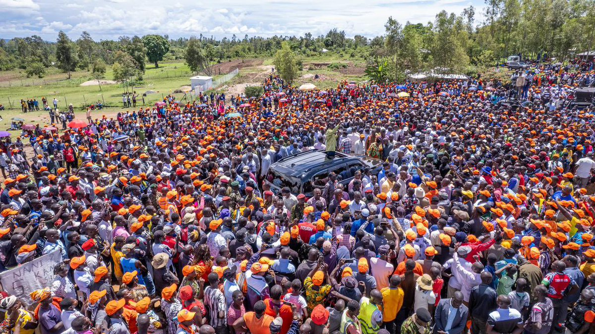 Radio Generation tweet media