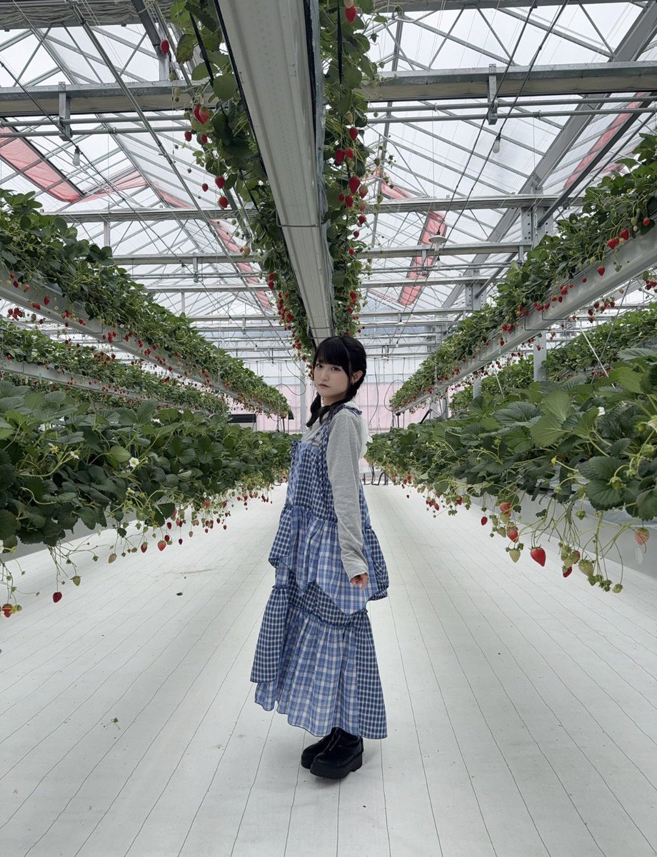 STU48と行く出雲ICHIGO縁バスツアー ありがとうございました🍓 いちご