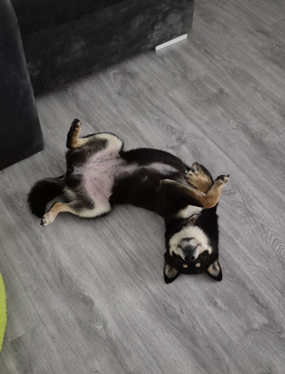 светлый русский громкий смех tweet media