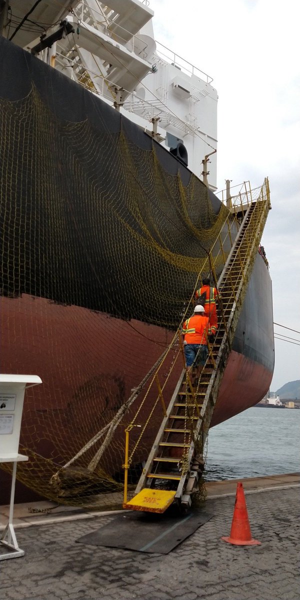 Li na🌸 tweet media