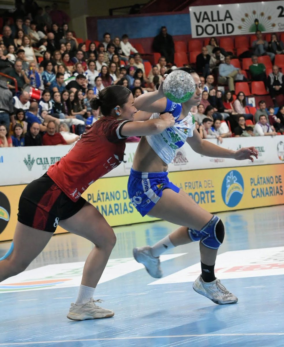 Valentín Glz.deGaribay tweet media