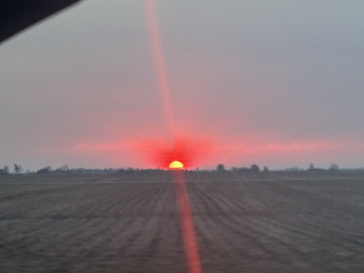 kirbysnarf182{EXXXOTICACHICAGO} tweet media