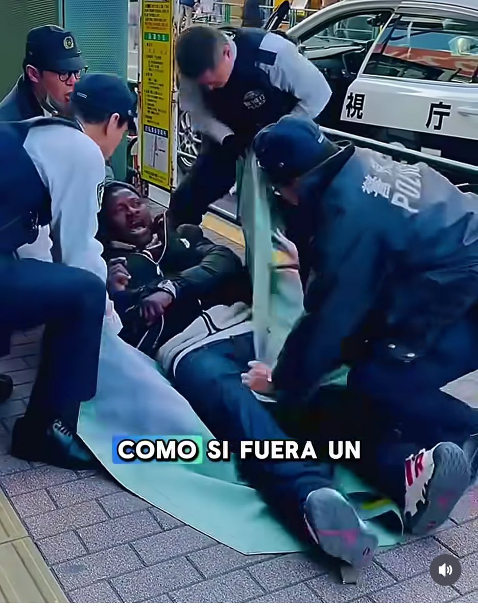 Víctor Riverola i Morera tweet media