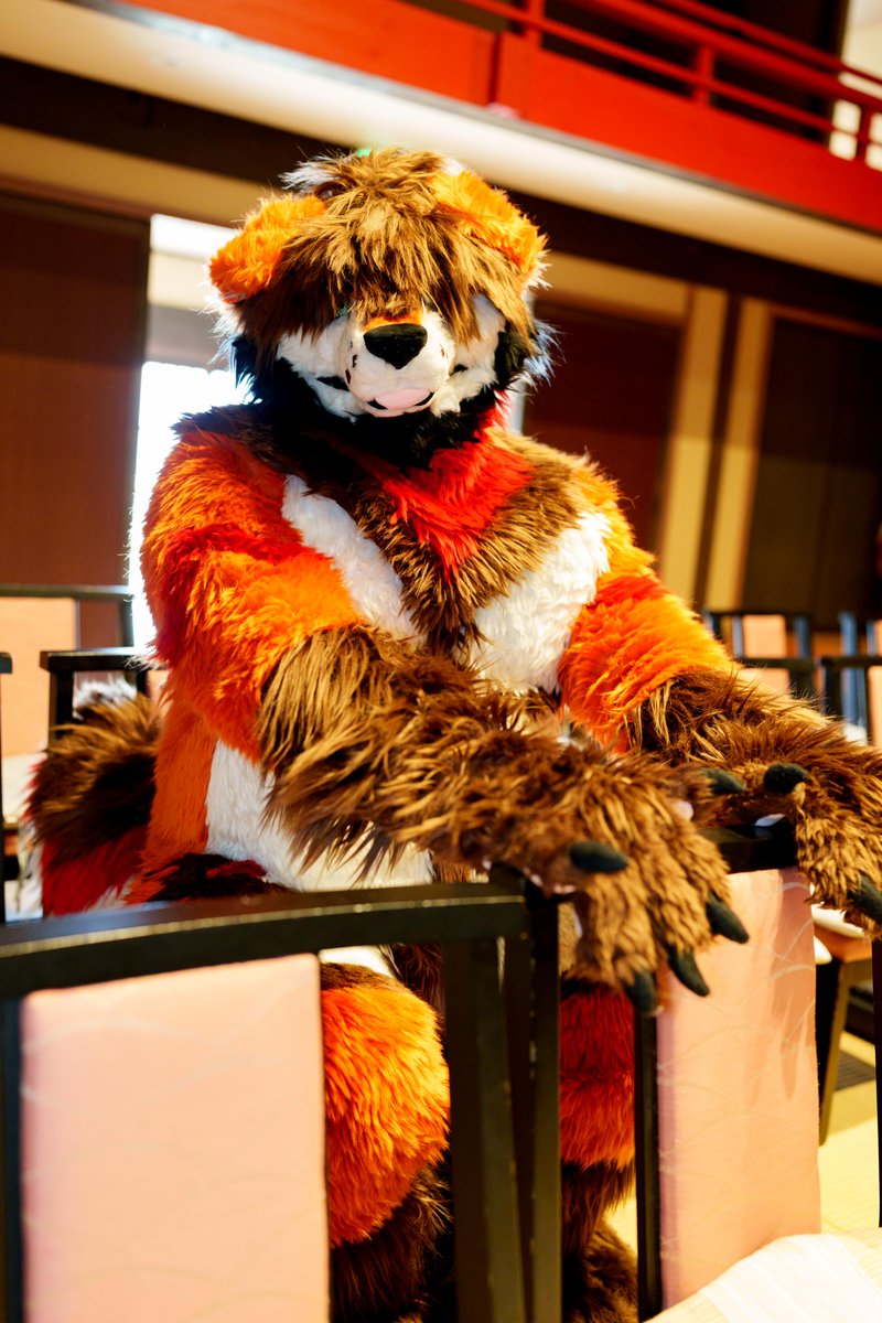 タンタン▶︎ぬくもふ tweet media