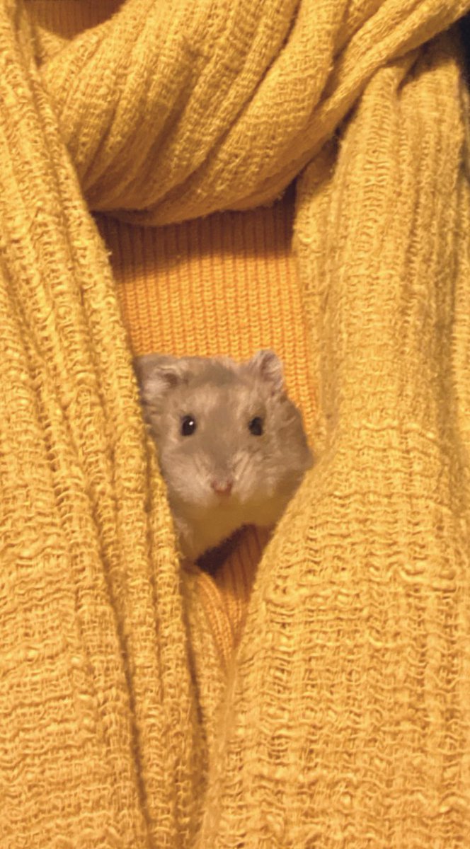 小野里 満子 tweet media